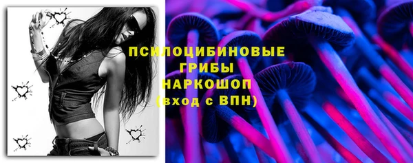 бошки Инта