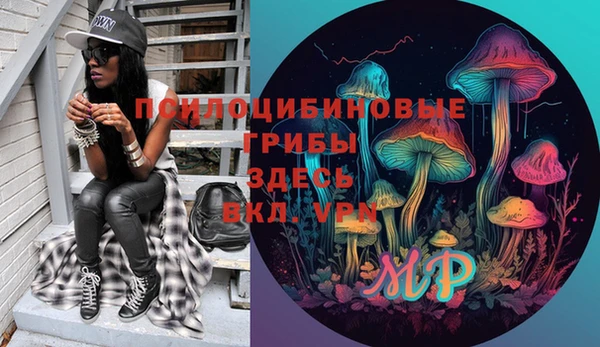 дурь Инсар