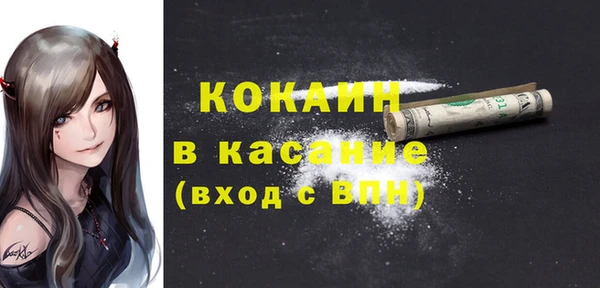 дурь Инсар
