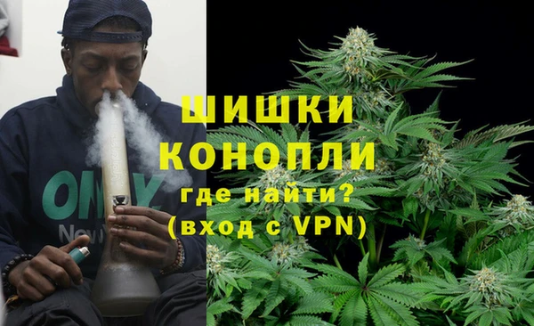 дурь Инсар
