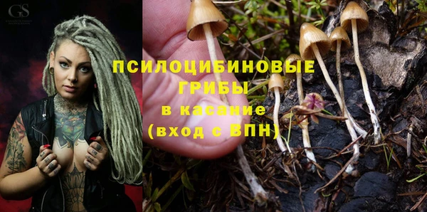 дживик Иннополис