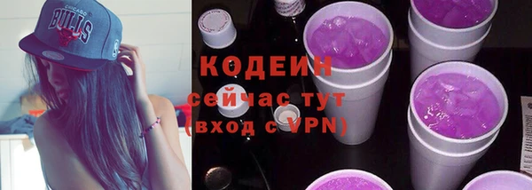 дживик Иннополис