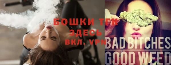 дурь Инсар