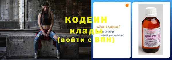 дживик Иннополис