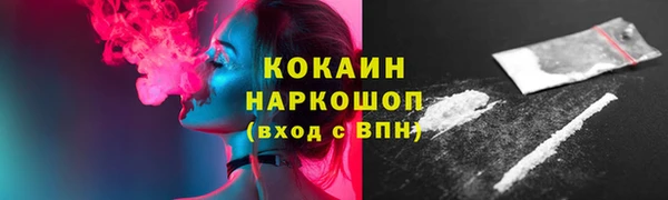 бошки Инта