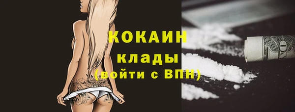 дживик Иннополис