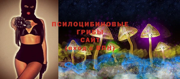 дурь Инсар