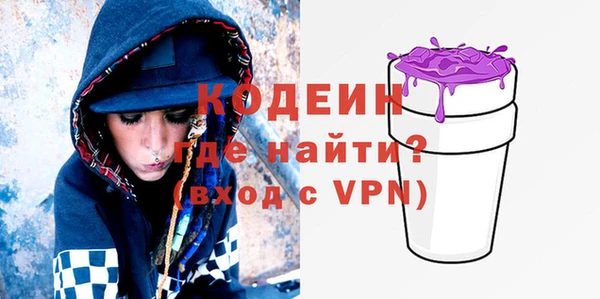бошки Инта