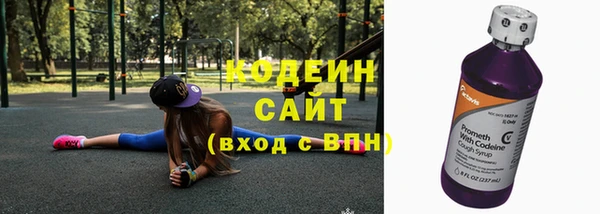 дживик Иннополис